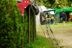 dsc9233_14850098214_o