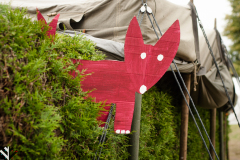 dsc9234_14849486891_o