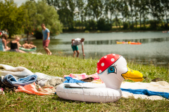 dsc9425_14849532641_o