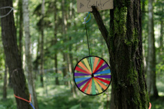 mds4375_14702906577_o