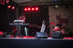 mds4537_14702779790_o