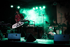 mds4566_14886400521_o