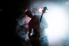 mds4599_14702854828_o